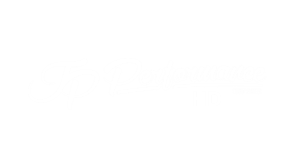 Jean Pierre „JP“ Kraemer ist ein deutscher Moderator, Unternehmer und Webvideoproduzent. Kraemer betreibt mit JP Performance den erfolgreichsten deutschsprachigen Kanal im Automobilsektor. JP Performance HD